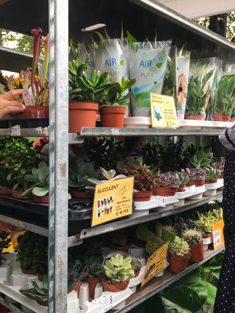 My Favourite Places to Plant Shop in Edinburgh: Plant Sales at the University