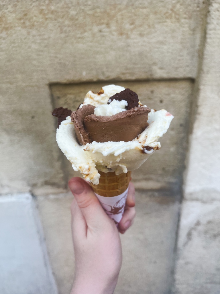 different ice cream flavours in a cone to look like a flower with brown chocolate-y leaves